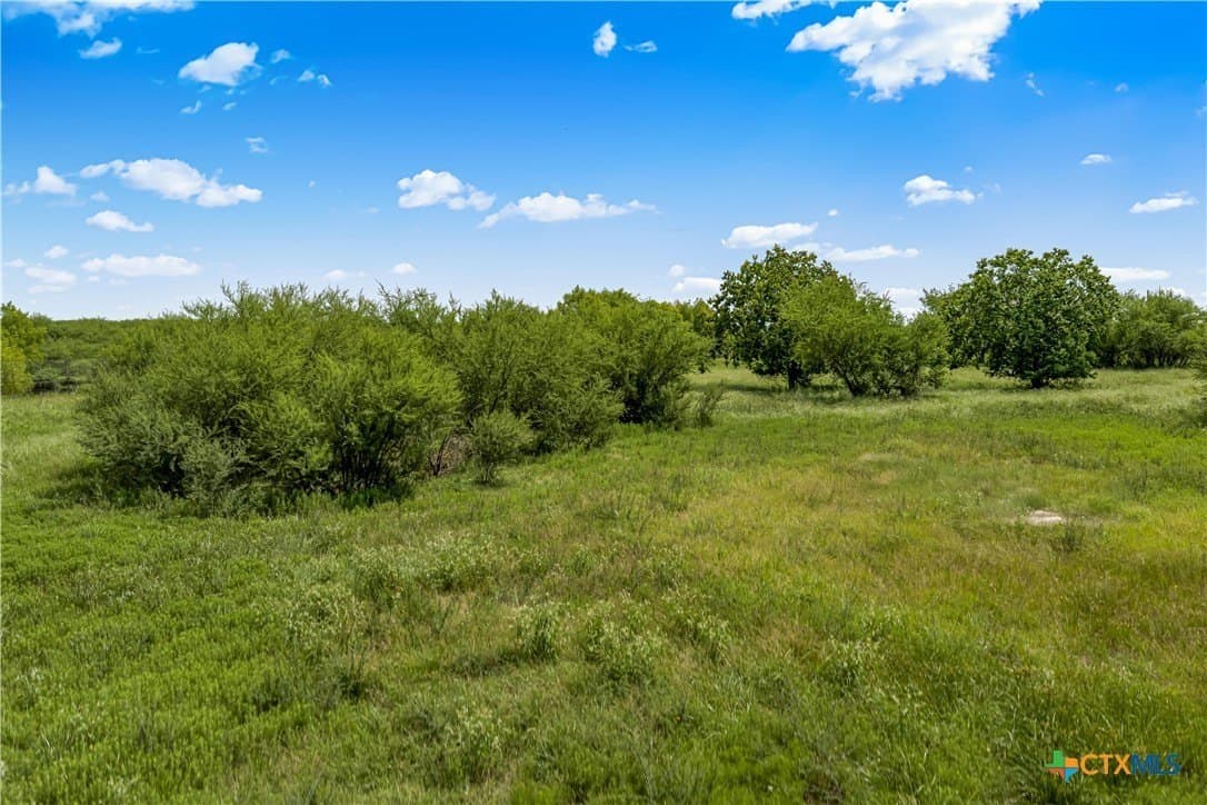 16.34 acres in Victoria County - photo 26