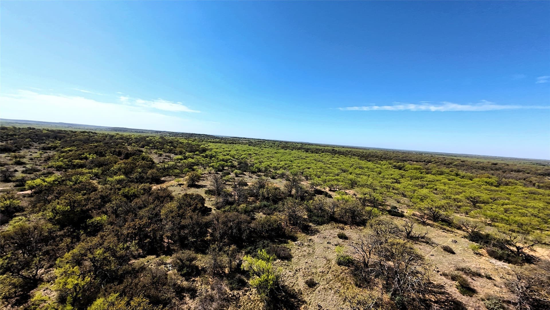 411 acres in Stephens County - photo 7