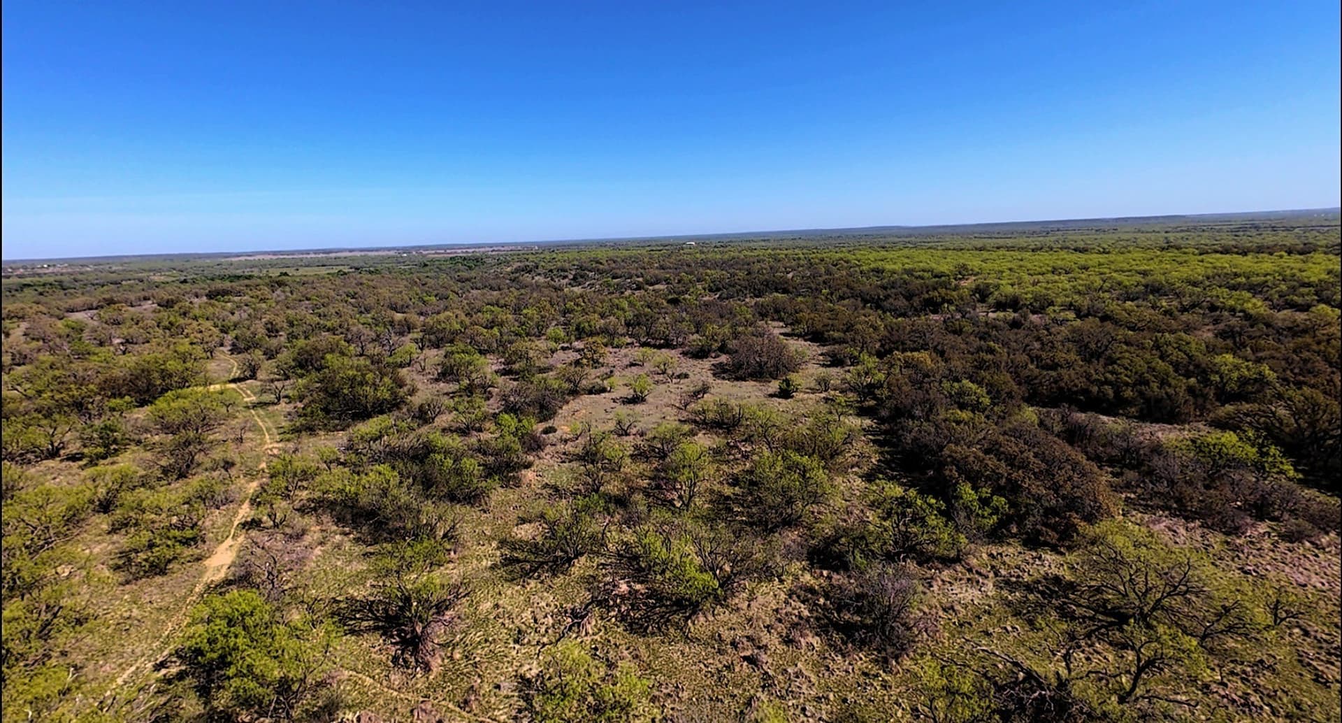 411 acres in Stephens County - photo 18