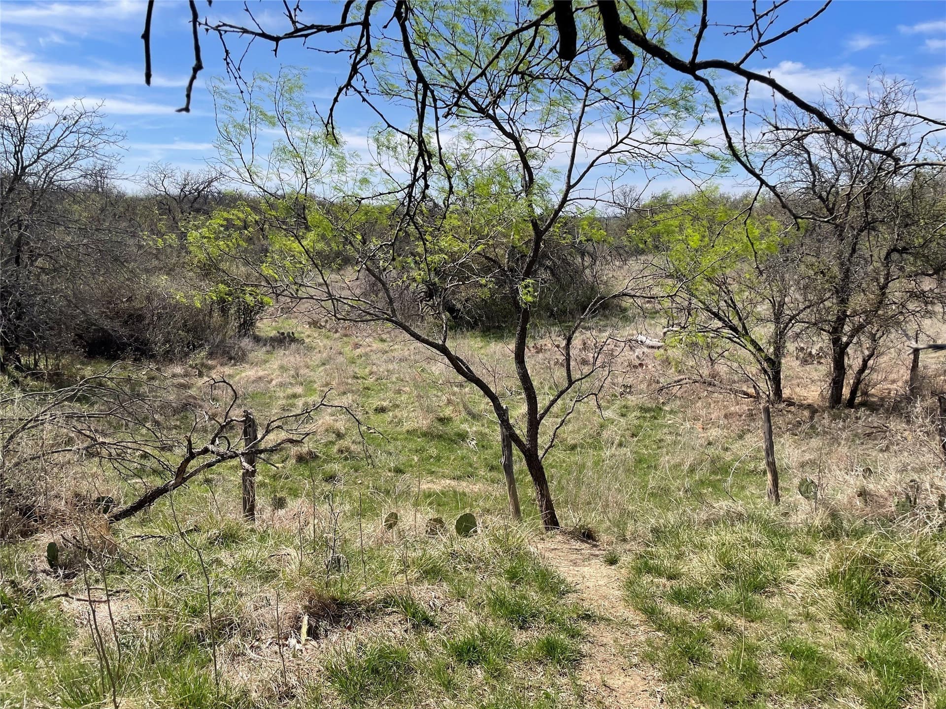 411 acres in Stephens County - photo 19