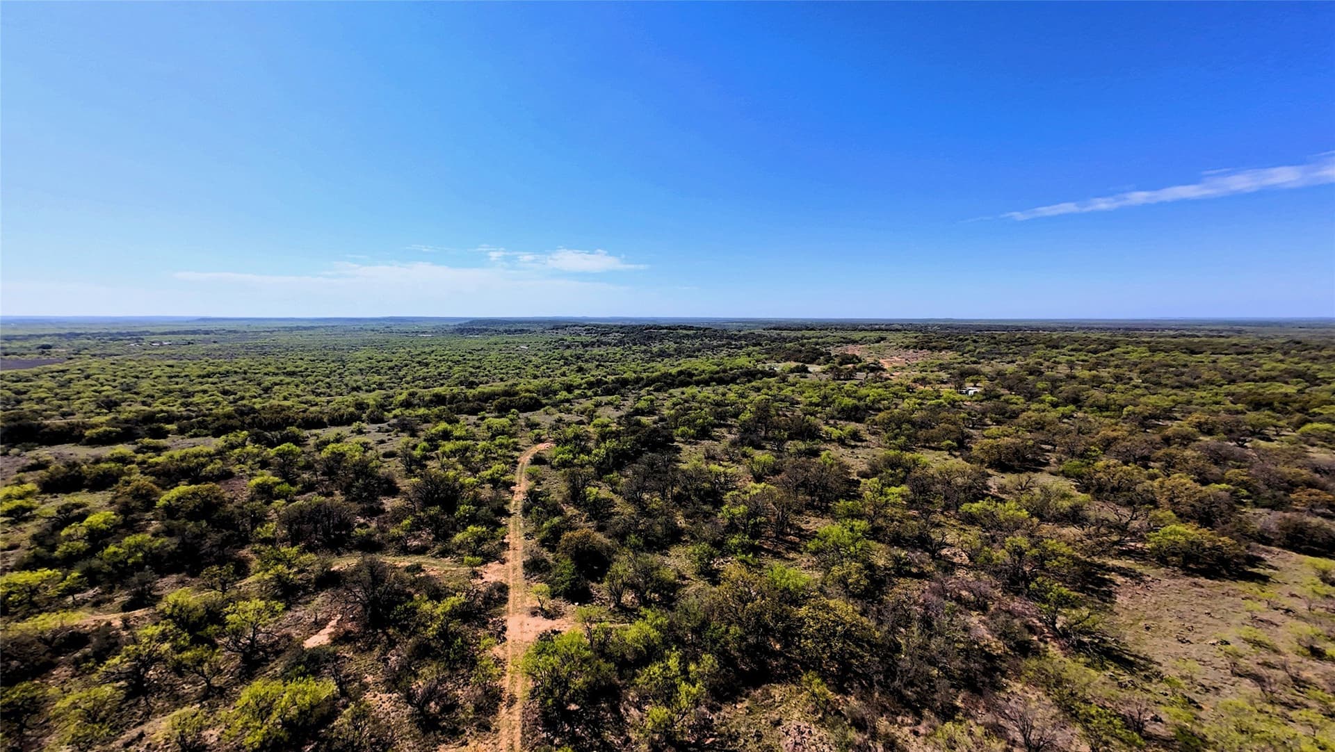 411 acres in Stephens County gallery image 2