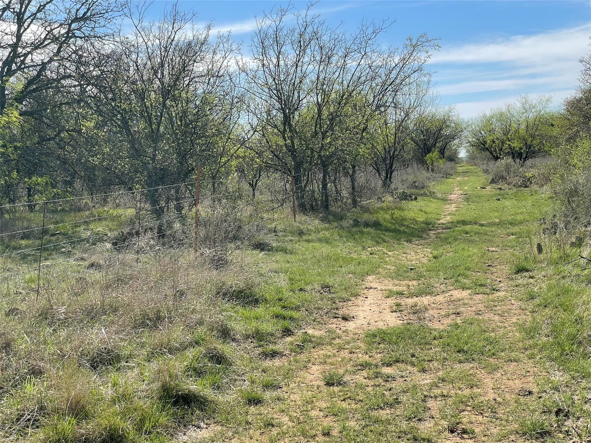 411 acres in Stephens County - photo 25