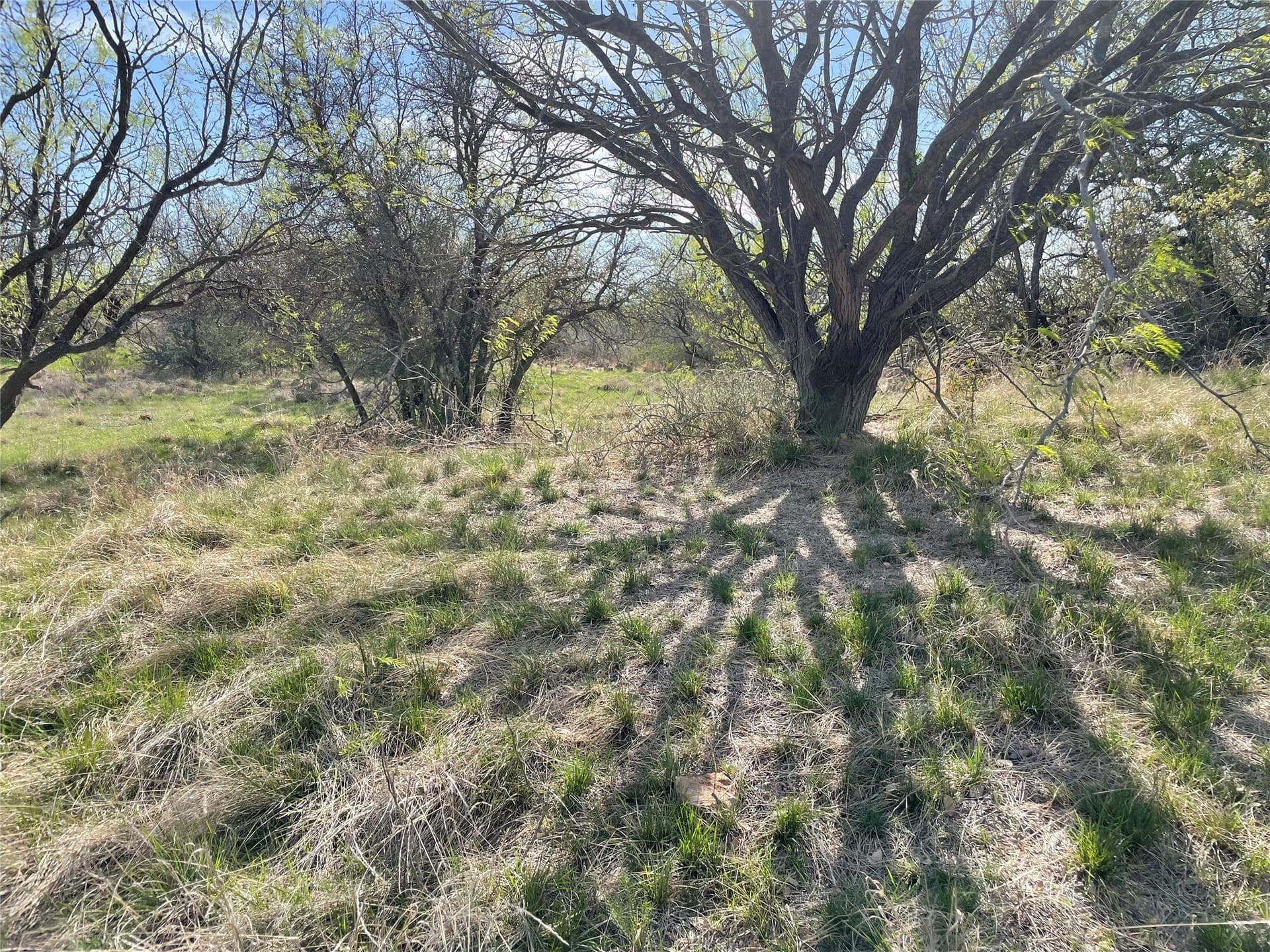 411 acres in Stephens County - photo 28