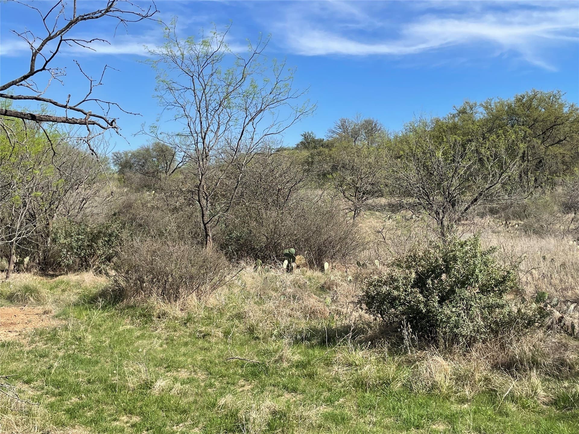 411 acres in Stephens County - photo 24