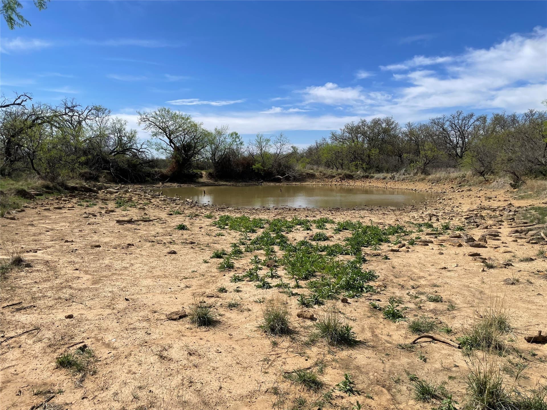 411 acres in Stephens County - photo 20
