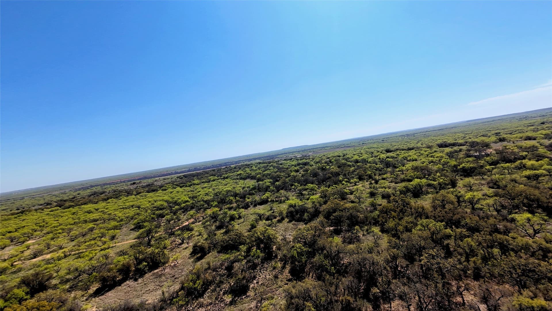 411 acres in Stephens County - photo 15