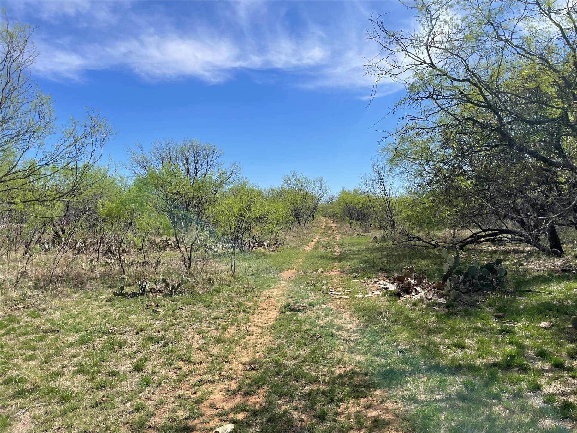 411 acres in Stephens County - photo 21