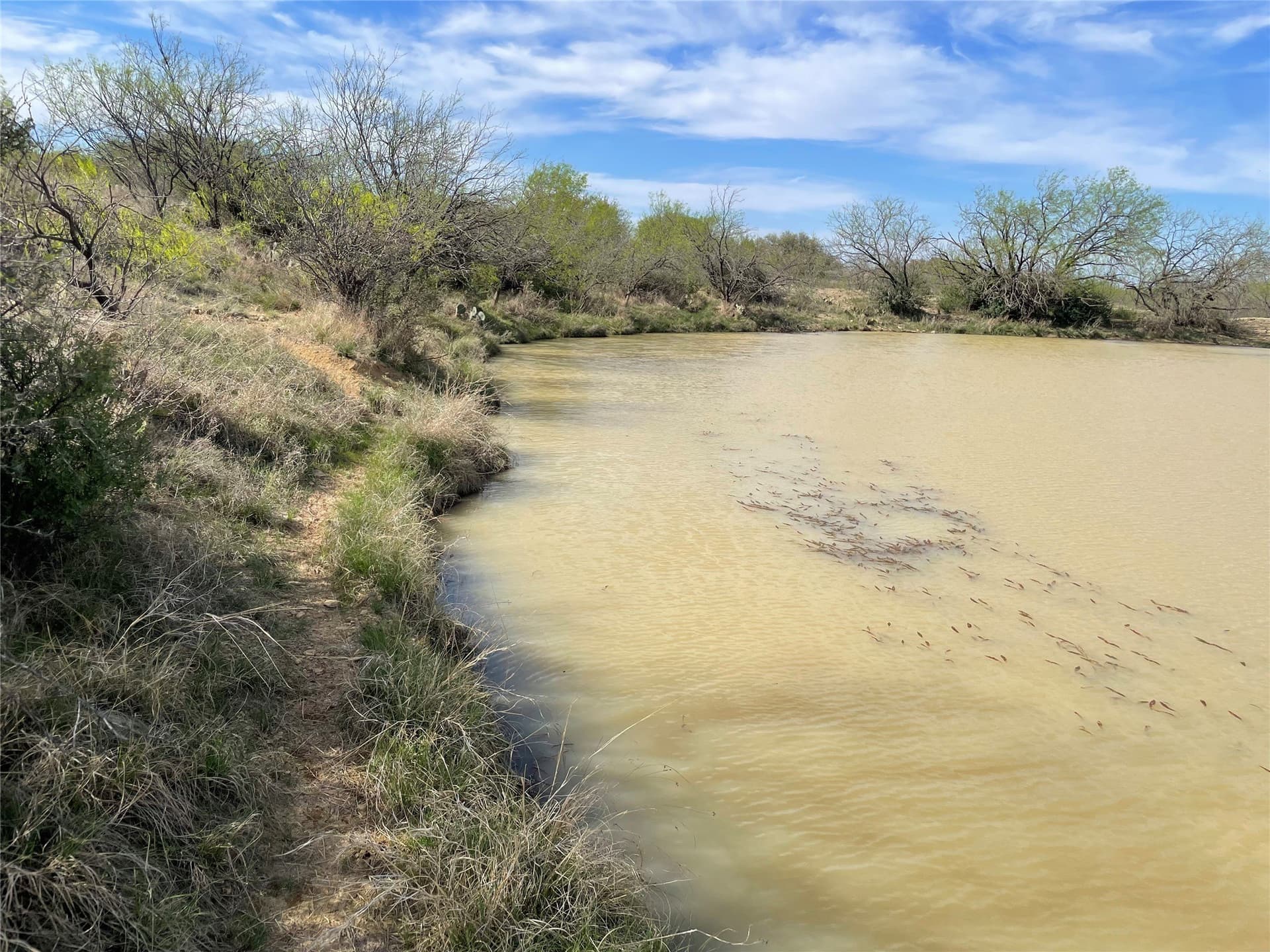 411 acres in Stephens County - photo 23