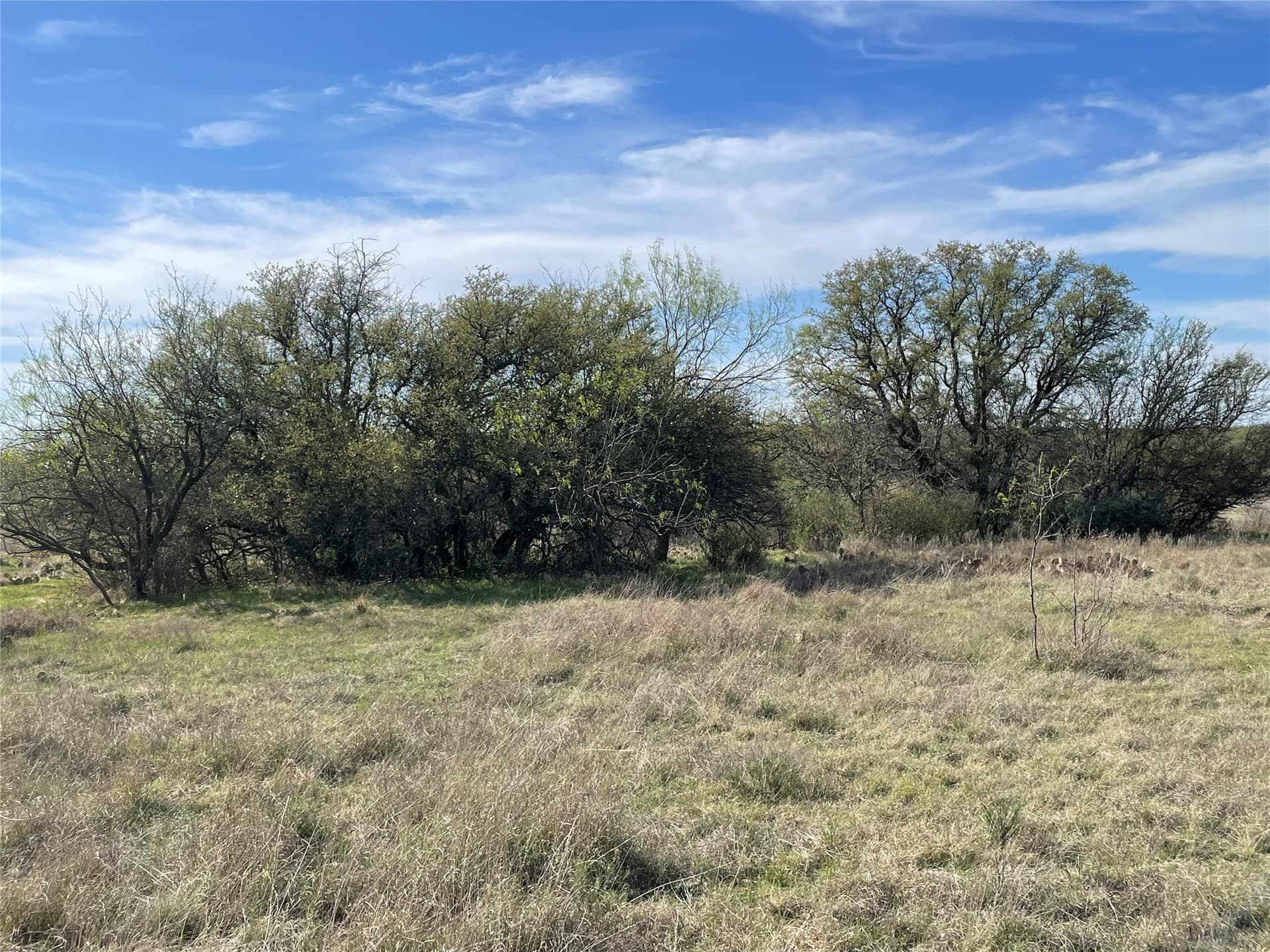 411 acres in Stephens County - photo 29