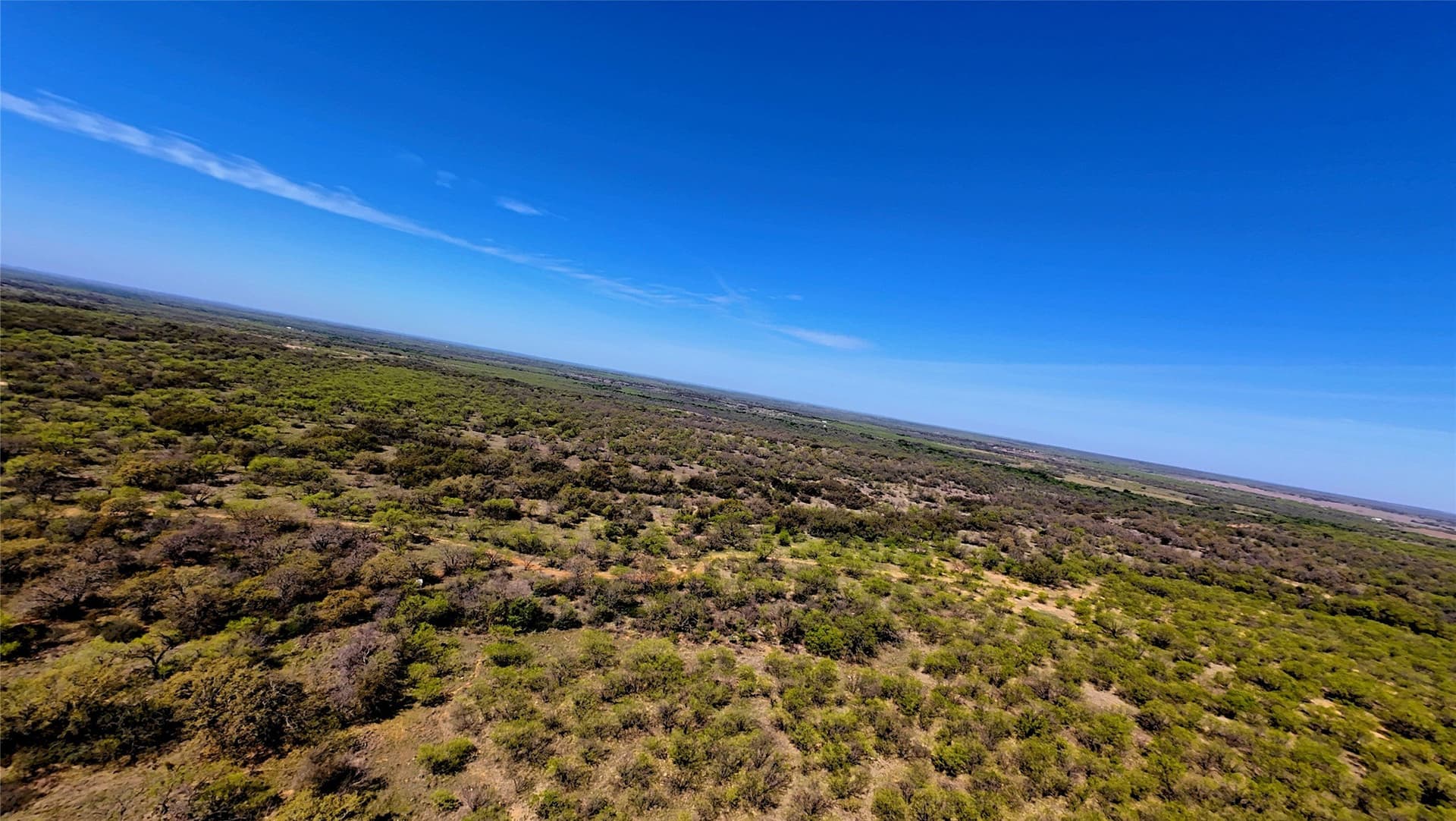 411 acres in Stephens County - photo 8