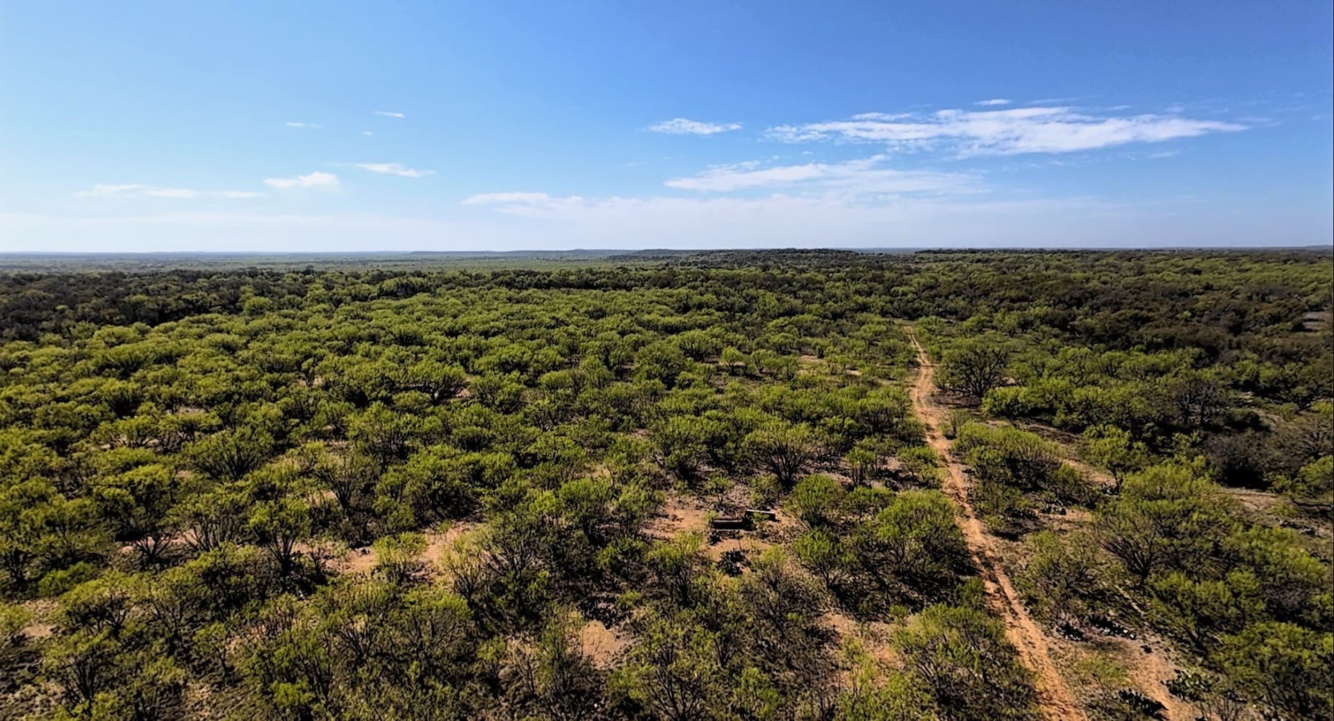 411 acres in Stephens County - photo 16