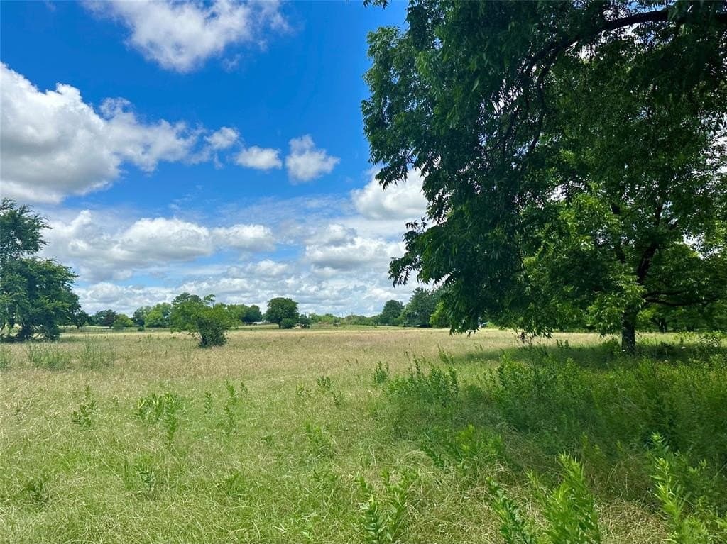 29.25 acres in Cooke County gallery image 4