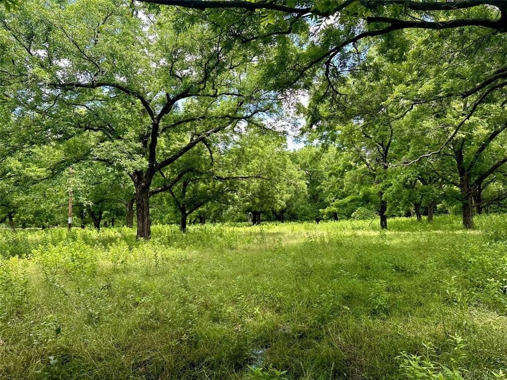 29.25 acres in Cooke County