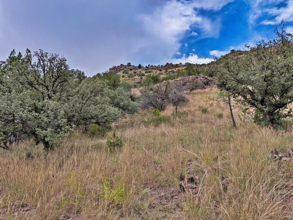 10.82 acres in Jeff Davis County - photo 53