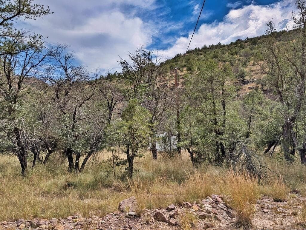 10.82 acres in Jeff Davis County - photo 48
