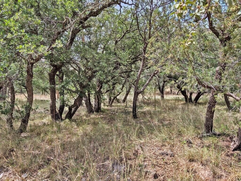10.82 acres in Jeff Davis County - photo 47