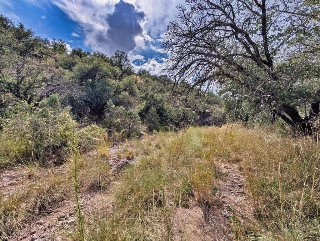 10.82 acres in Jeff Davis County - photo 49