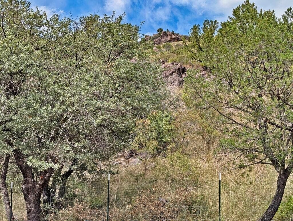 10.82 acres in Jeff Davis County - photo 45