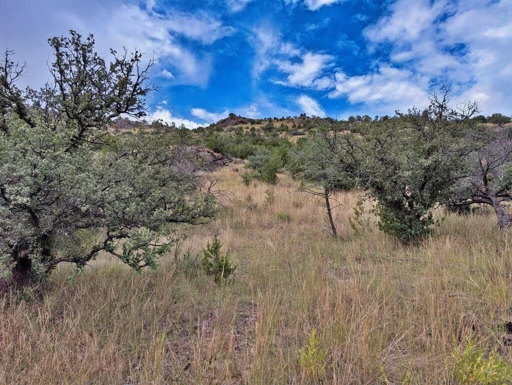 10.82 acres in Jeff Davis County - photo 52