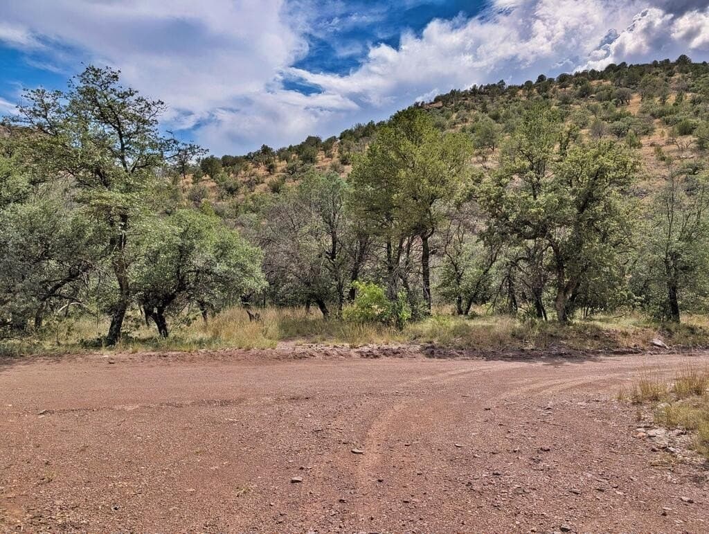 10.82 acres in Jeff Davis County - photo 46