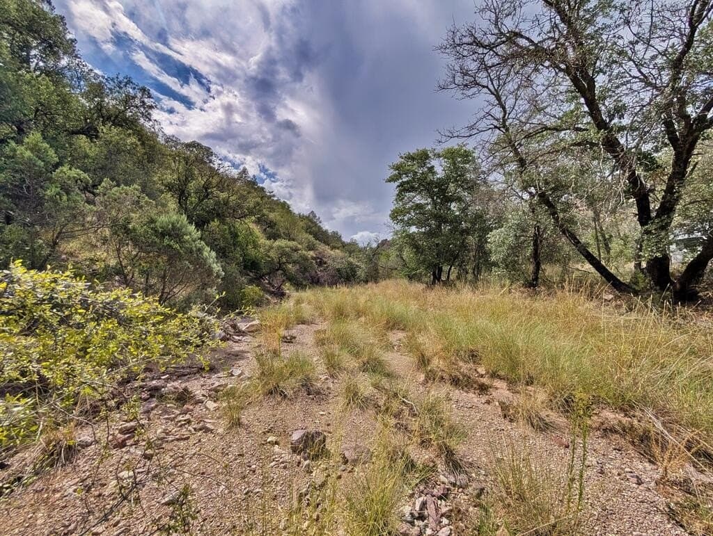 10.82 acres in Jeff Davis County - photo 50