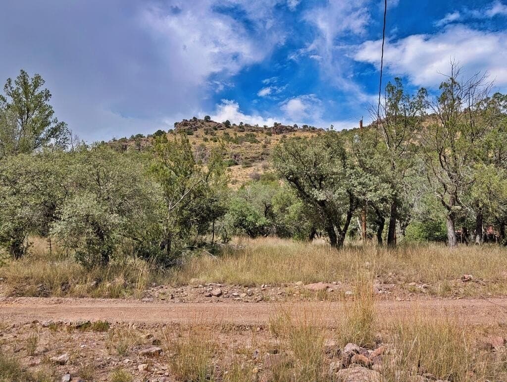 10.82 acres in Jeff Davis County - photo 51