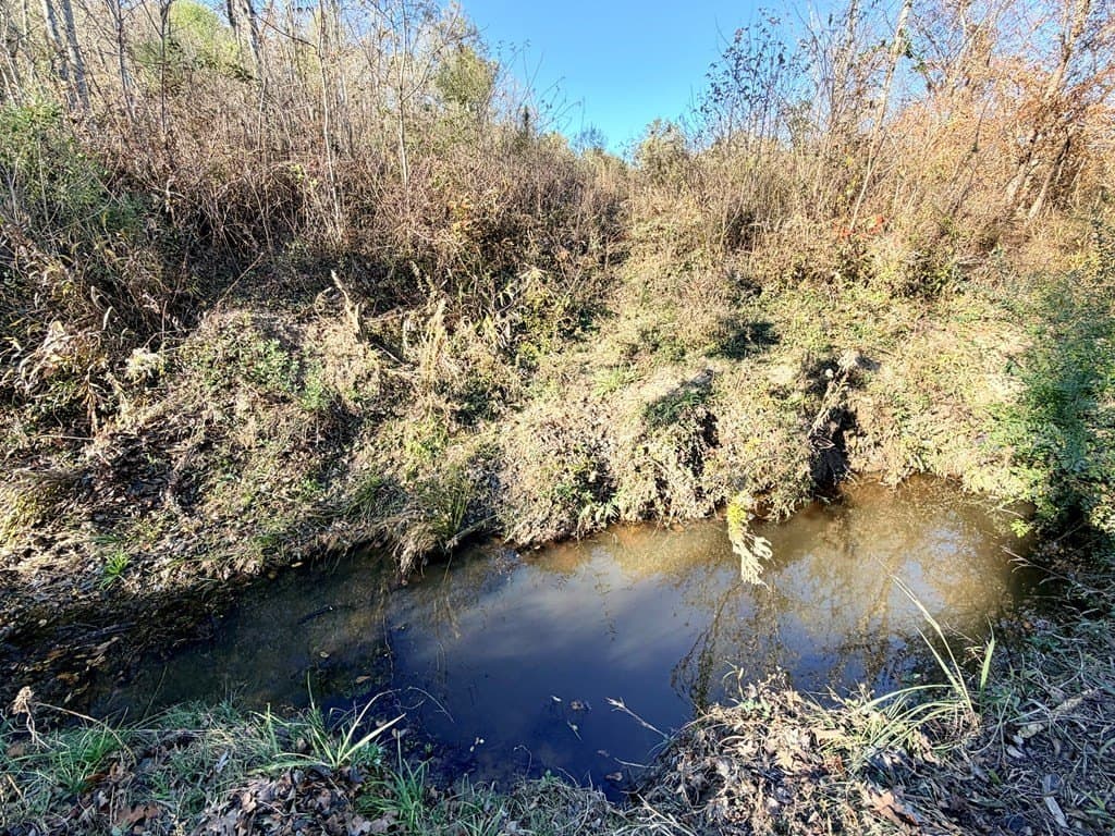 19.97 acres in Texas County featured view