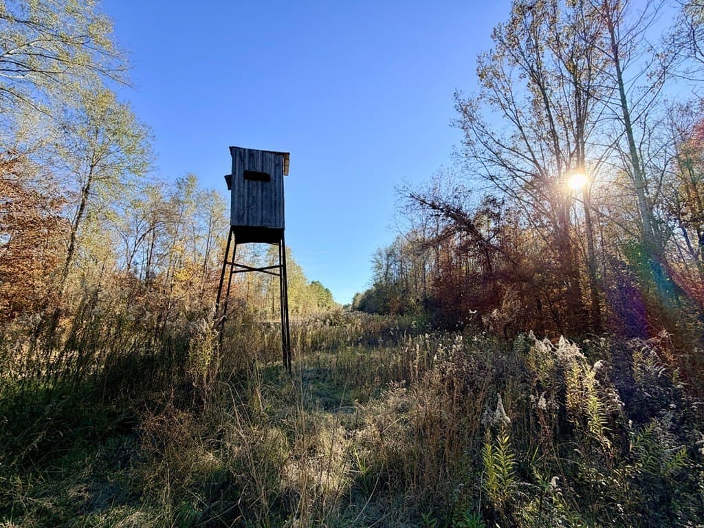 19.97 acres in Texas County gallery image 2