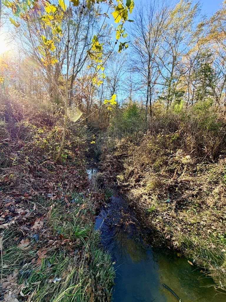 19.97 acres in Texas County gallery image 4