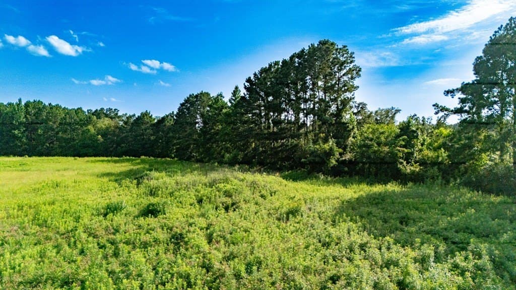 10 acres in Texas County gallery image 3