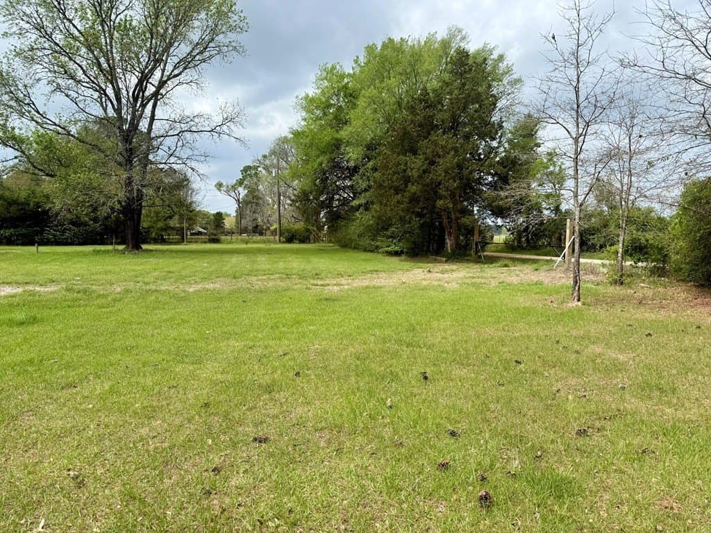 1 acres in HOUSTON County gallery image 4