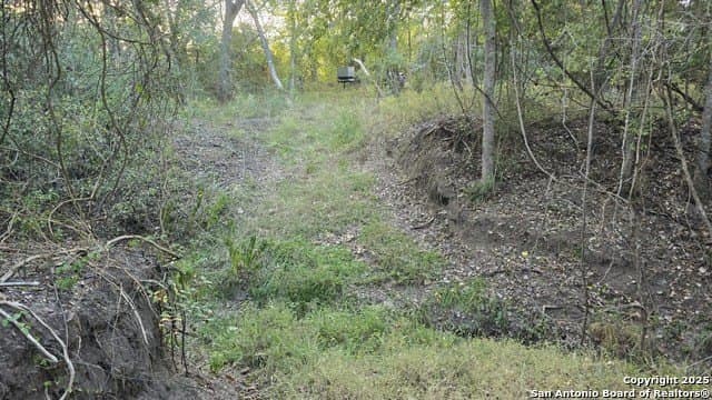 22 acres in Lavaca County gallery image 4