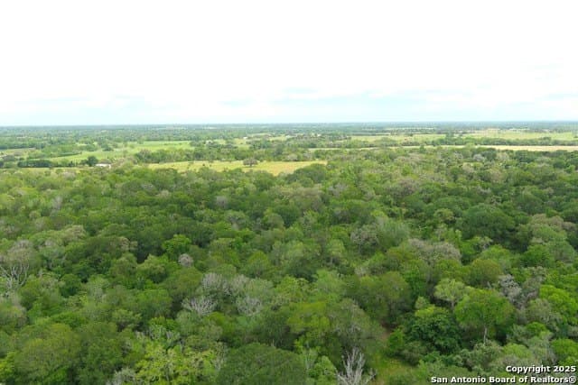 22 acres in Lavaca County gallery image 3