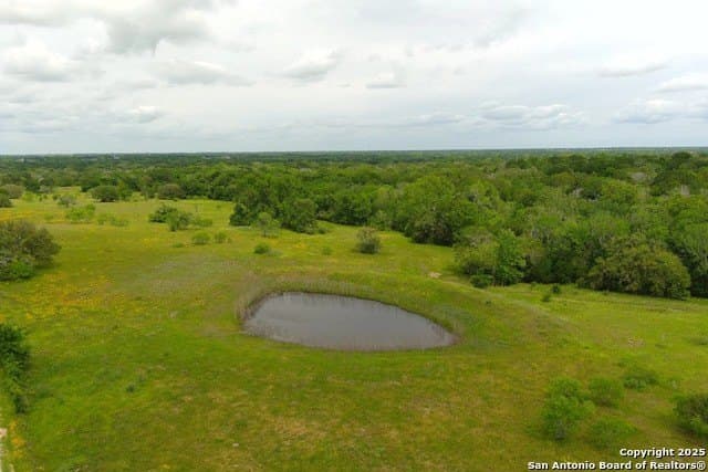 22 acres in Lavaca County gallery image 2