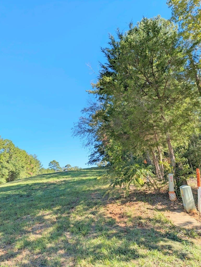 0.66 acres in ANDERSON County - photo 5