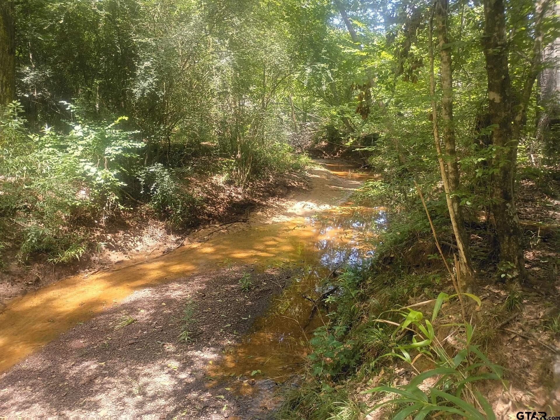9 acres in Cherokee County gallery image 3