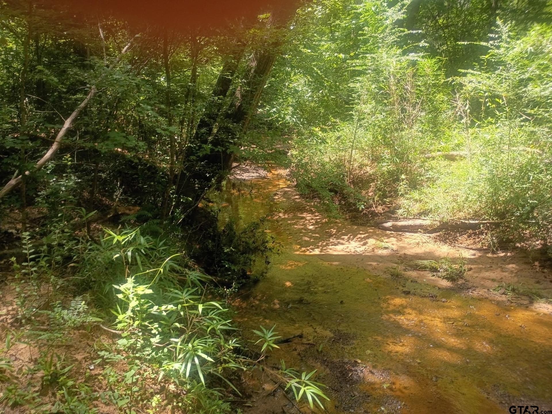 9 acres in Cherokee County gallery image 4