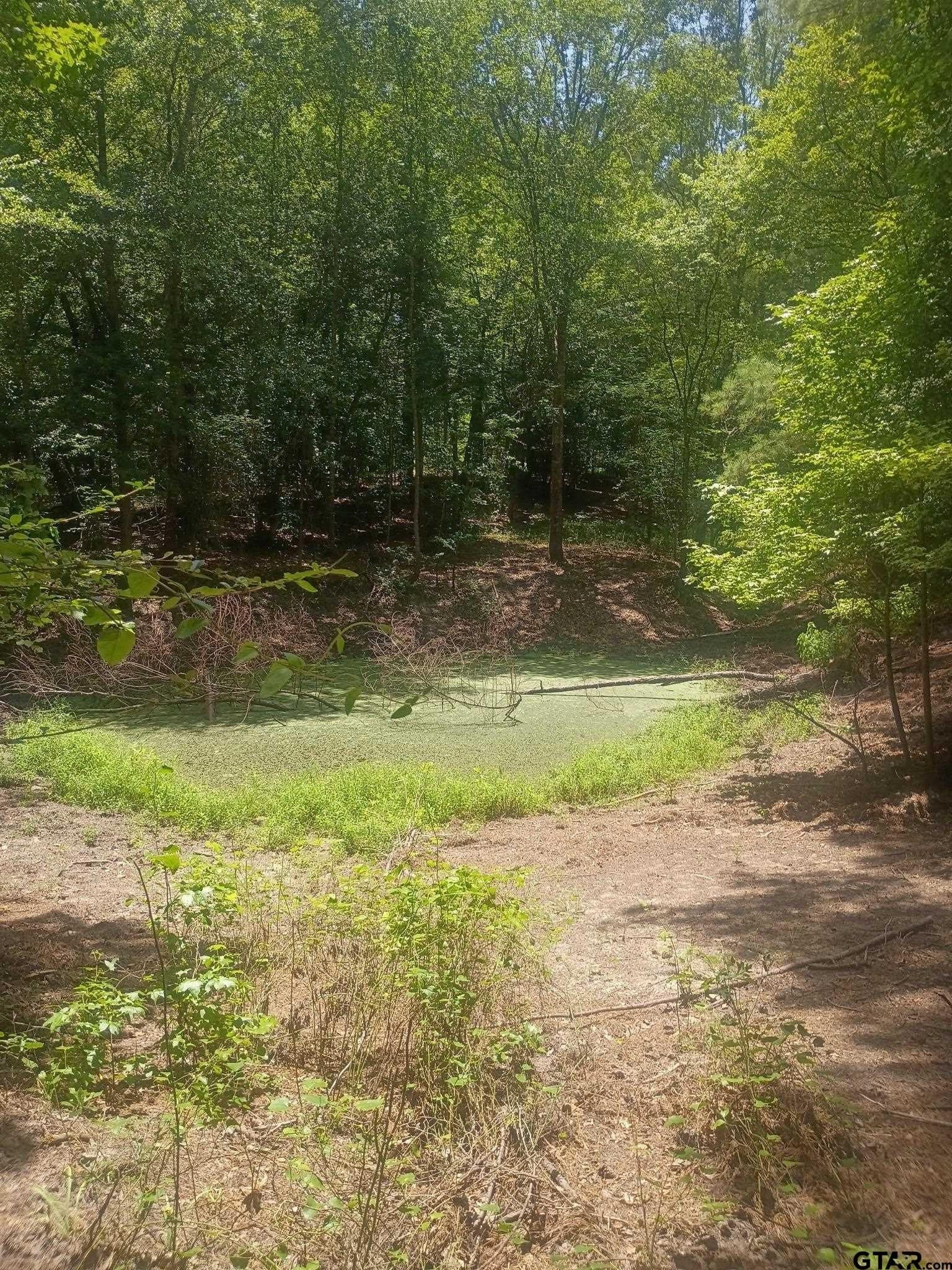 9 acres in Cherokee County - photo 8