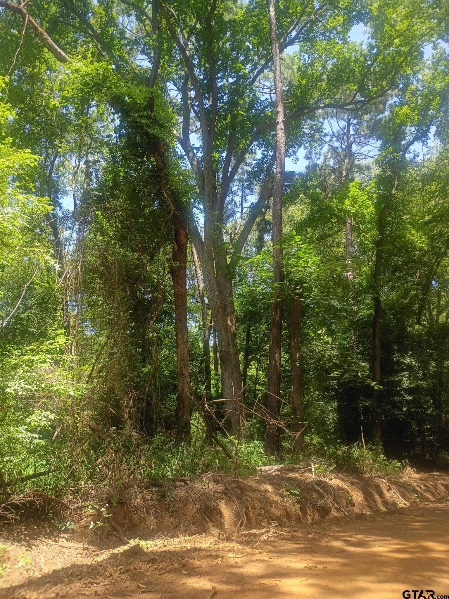 9 acres in Cherokee County - photo 6