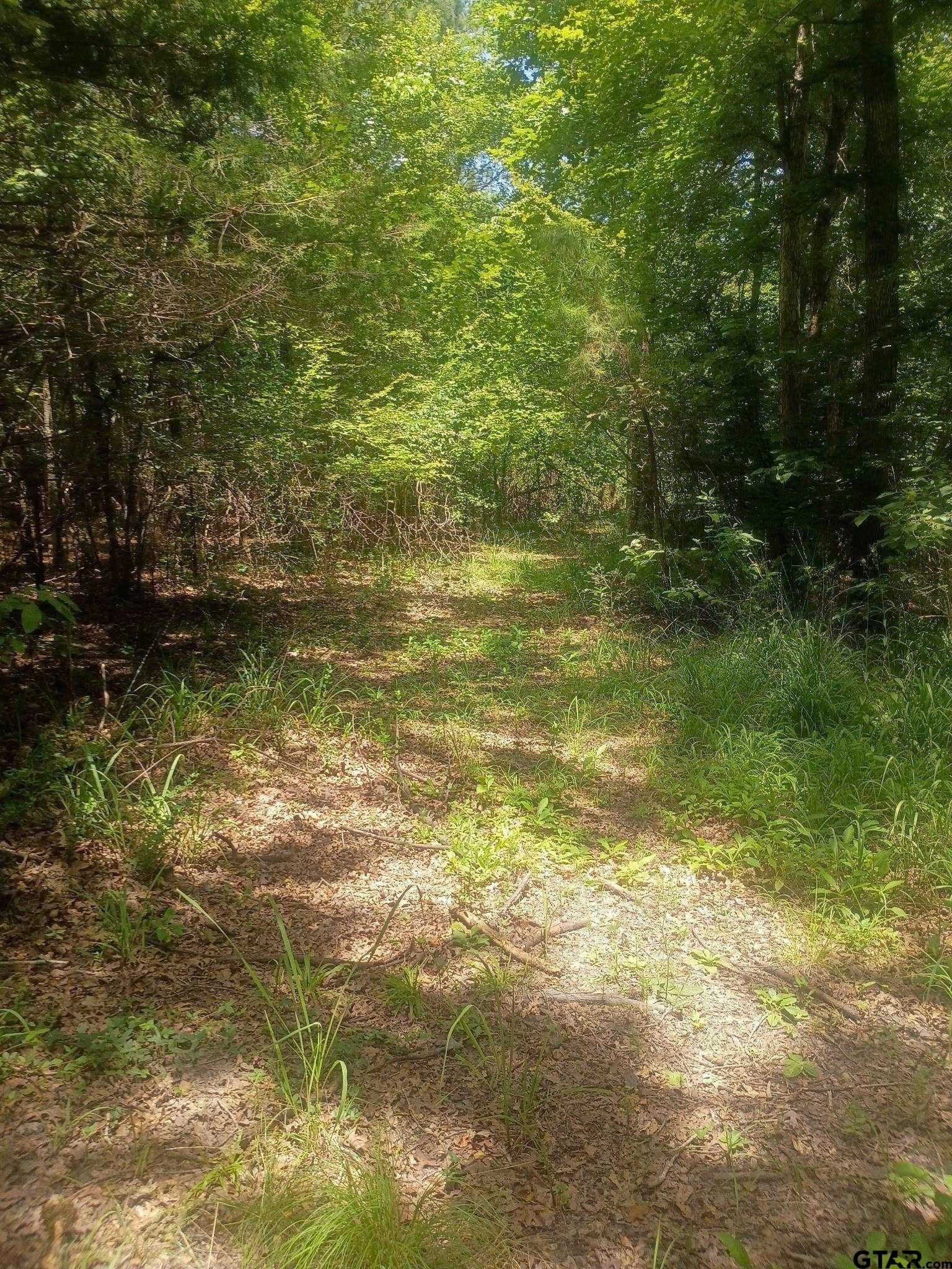 9 acres in Cherokee County - photo 9