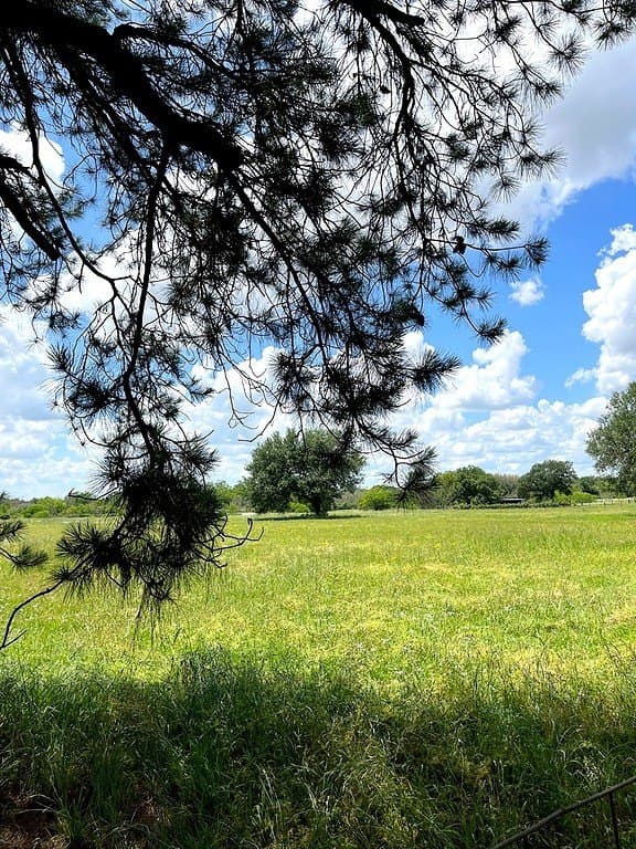 14.24 acres in Colorado County - photo 6