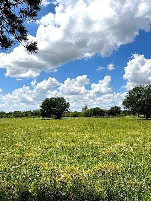 14.24 acres in Colorado County - photo 2