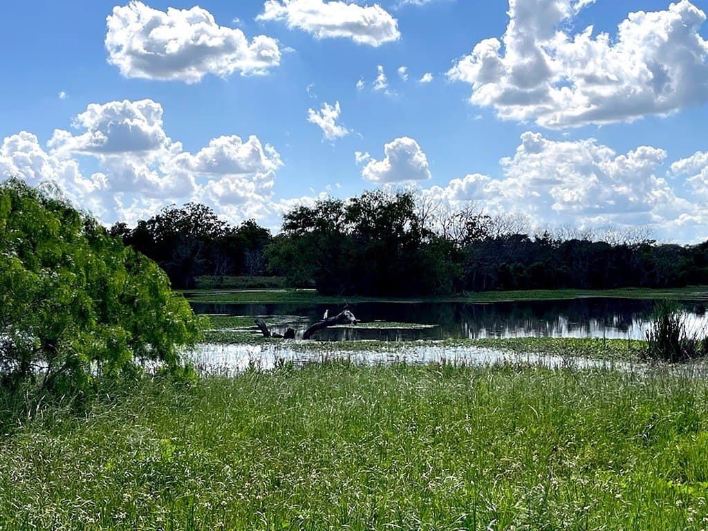 14.24 acres in Colorado County - photo 11