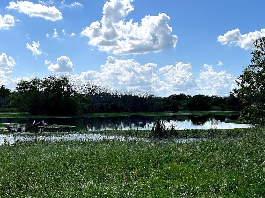 14.24 acres in Colorado County - photo 9