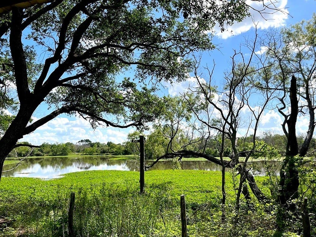 14.24 acres in Colorado County - photo 10