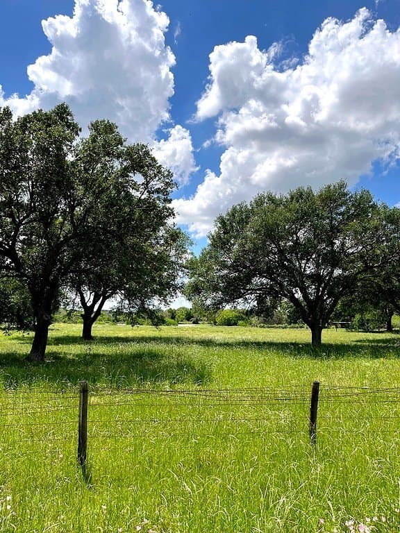 14.24 acres in Colorado County - photo 3