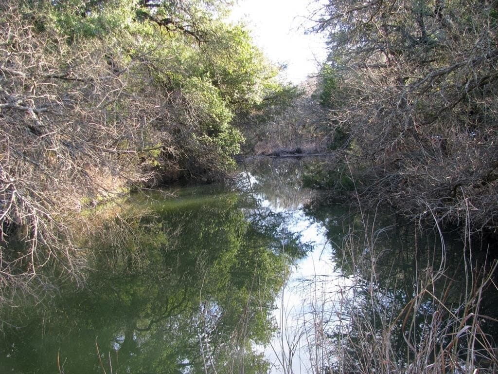 70 acres in Coryell County gallery image 2