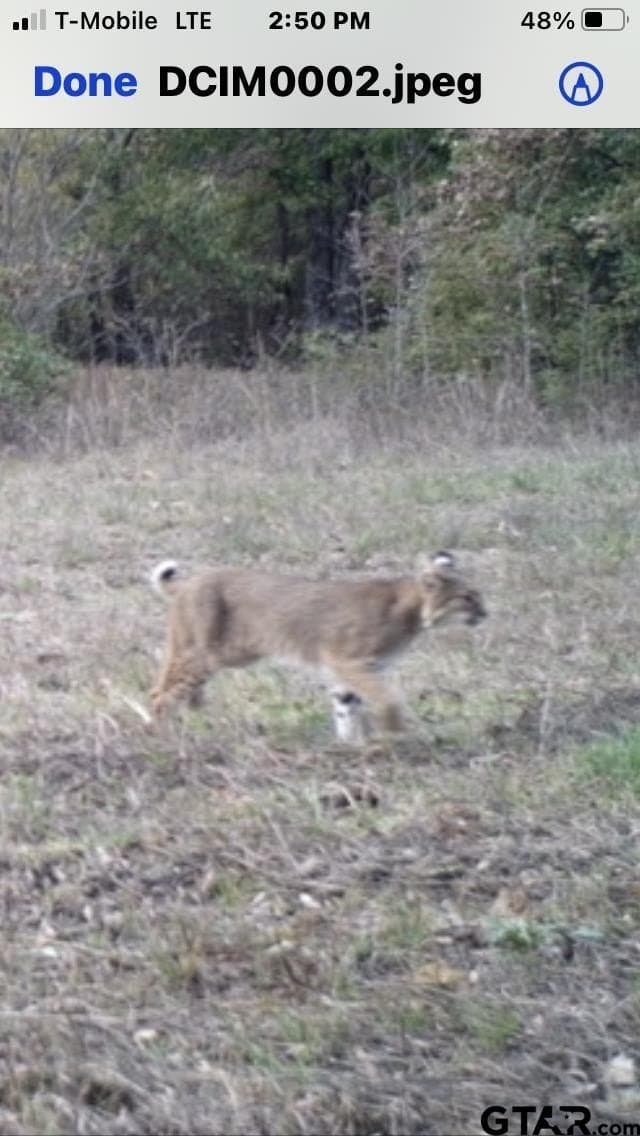 41.58 acres in Franklin County - photo 37