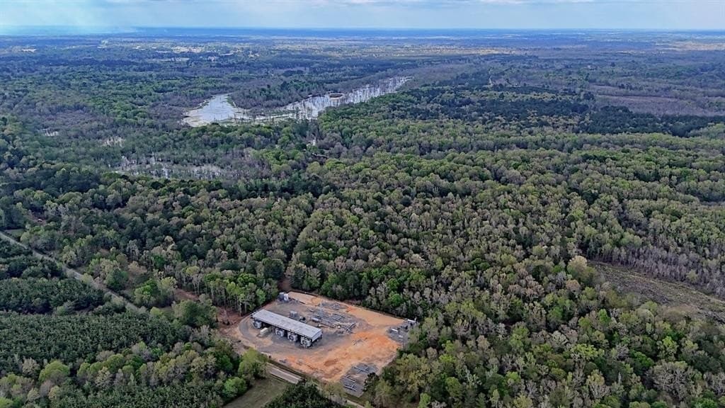 712 acres in Panola County gallery image 2