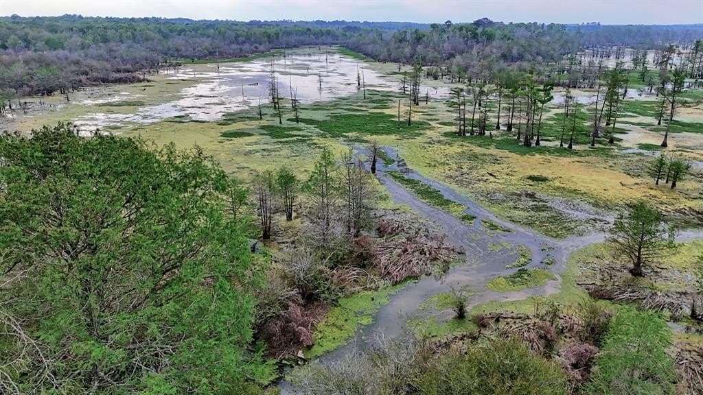 712 acres in Panola County gallery image 3